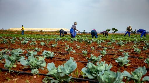 Territorial agroecology field implementation