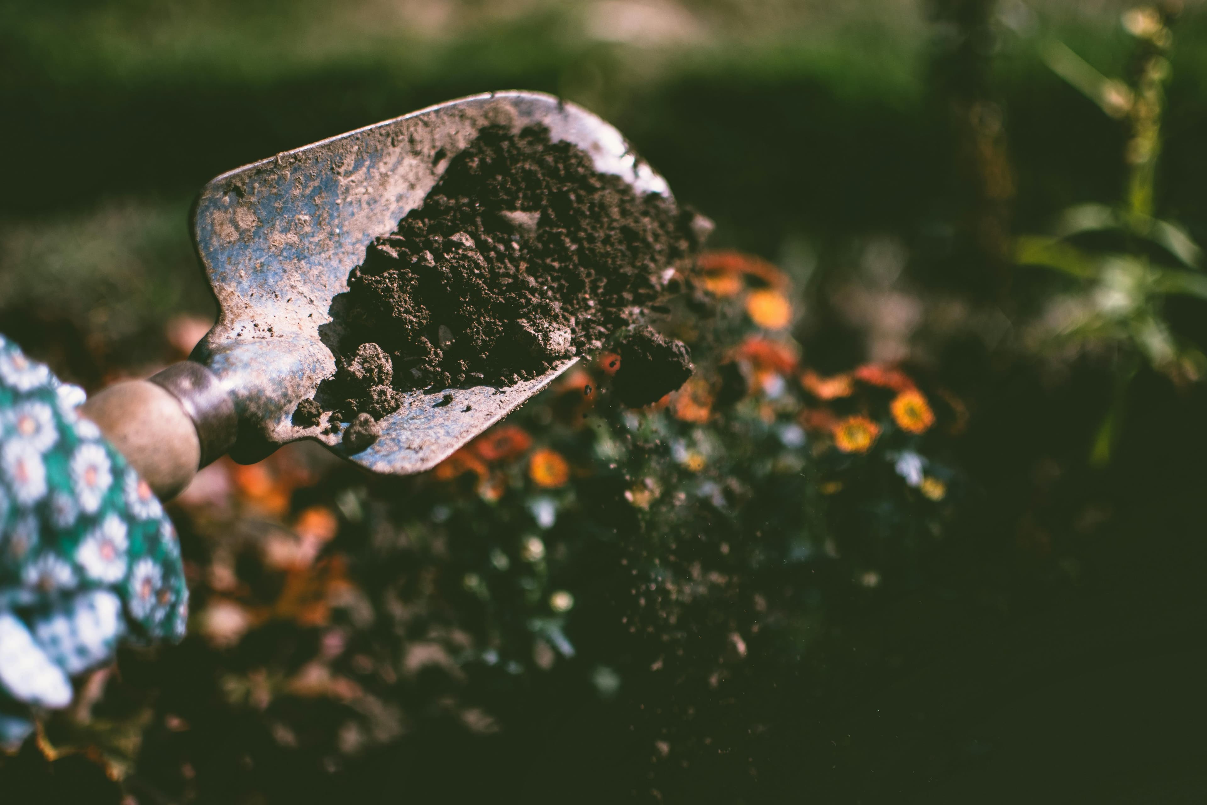 Soil, Environmental Health, and Climate Change